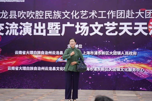 云龍吹吹腔藝術之花綻放大團鎮，兩地文化藝術交流譜新篇